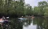 On the Water with Guided Murrells Inlet Backwater Myrtle Beach Kayak Tour