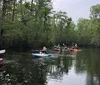 This tour was great! The river was amazing and we saw some really cool wildlife. The time flew by, I felt like I could've done it for another hour. I definitely want to take more kayak tours in the future.XYZLori Rouhana - Conshohocken, Pa