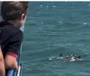 It was a little hard to find where we needed to go when we first arrived. Parking was free which was a plus. The sovinures were really cool and we bought 2 hats. The excursion out on the water could have been longer. We did see pods of dolphins. XYZAshley Gardner - Kentwood, MI