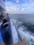 Passengers are standing by the railing of a boat, looking out at the ocean and the distant shore under a cloudy sky.