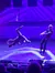 Performers on Stage