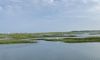 Saltwater Marshes