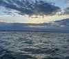 It was a little hard to find where we needed to go when we first arrived. Parking was free which was a plus. The sovinures were really cool and we bought 2 hats. The excursion out on the water could have been longer. We did see pods of dolphins. XYZAshley Gardner - Kentwood, MI
