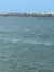 The image displays a calm blue sea with a rocky breakwater in the background and a dolphin's fin visible above the water surface.