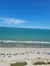 The image shows a beach scene with people enjoying the ocean and colorful umbrellas scattered on the sandy shore under a clear blue sky.