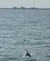 View of the Water