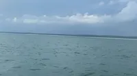 View of the Water