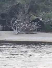 View of the Water
