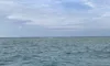View of the Water