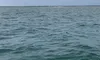 View of the Water