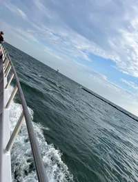 View of the Water from the Boat