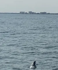 View of the Water from the Boat