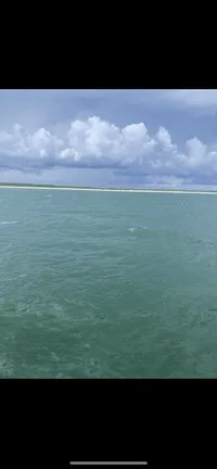 View of the Water