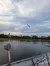 Water and the Birds