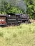 Dollywood Express