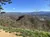 Smoky Mountain Views