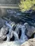 Smoky Mountain Waterfall
