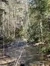 Smokies views 