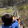 Alpine coaster views 