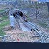 Alpine Coaster