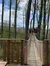 SkyBridge