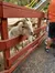 RainForest Adventures Discovery Zoo has a petting zoo.
