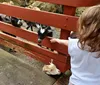 Very clean facility. All animals are indoor except for  the goats that you get to feed. There is a cockatoo there named Row and he is hilarious. He will sing and talk to you. XYZJackie Moore - Blytheville, AR