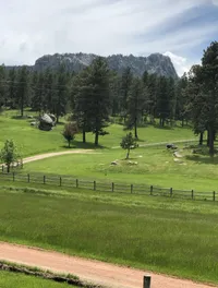 Beautiful Meadows and Trees on the 1880 Train: A 19th Century Train Ride Tour