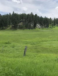 Meadow on the 1880 Train: A 19th Century Train Ride Tour