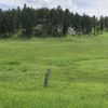 Meadow on the 1880 Train: A 19th Century Train Ride Tour