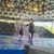 SeaWorld