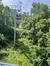 Chondola View
