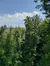 Scenery