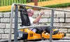 On the Coaster