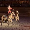Incredible Riding at Dolly Parton's Stampede Dinner Show Pigeon Forge