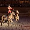 Incredible Riding at Dolly Parton's Stampede Dinner Show Pigeon Forge