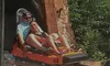 Alpine Coaster
