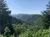 Smokies Scenery