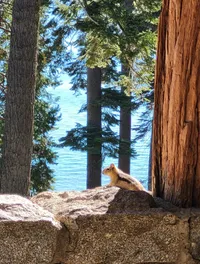 Hellman-Ehrman Mansion - view of the lake