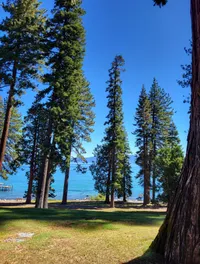 Hellman-Ehrman Mansion - view of the lake