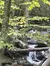 Smokies Views