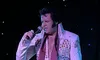 Elvis Performer