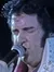 Elvis Performer