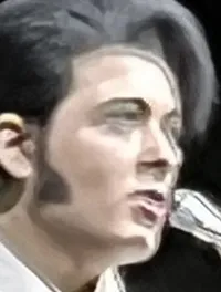 Elvis Tribute