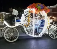 Carriage