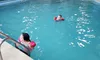 Swimming at the Best Western Toni Inn