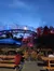 Rocky Top Coaster