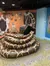 Inside the Museum