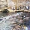 Penguins at Ripleys Aquarium of the Smokies