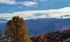 Smoky Mountain Views